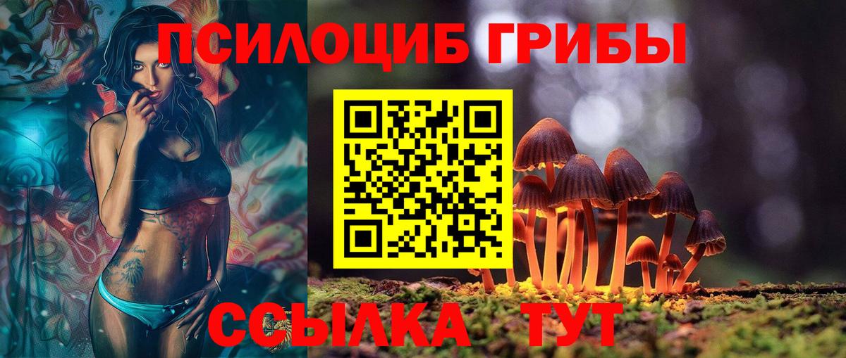 Псилоцибиновые грибы Psilocybine cubensis  Галлюциногенные грибы Psilocybe  Прокопьевск  Вход с VPN 